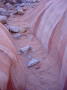 Dsc02570