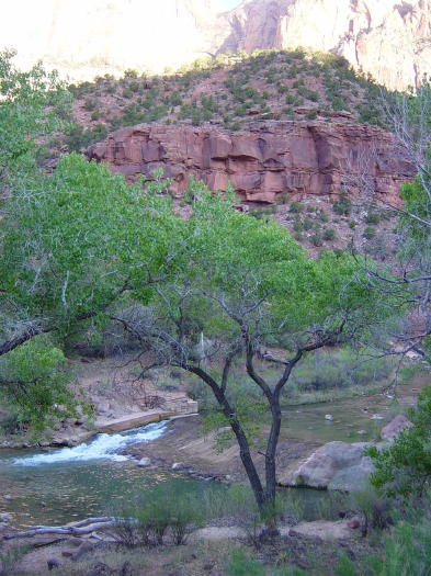 Dsc00975