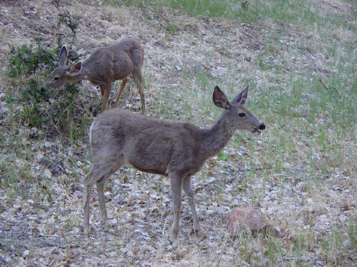Dsc01004