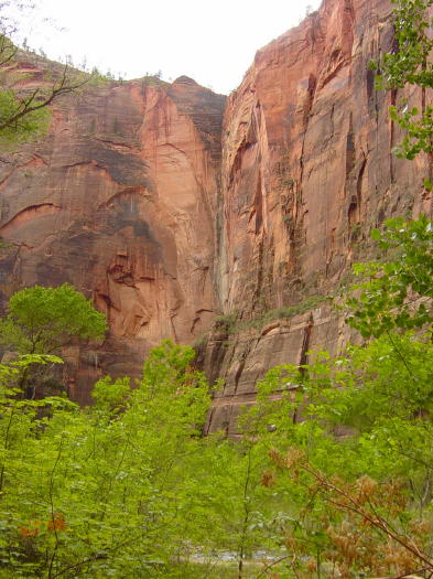 Dsc01106