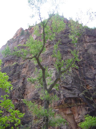Dsc01084