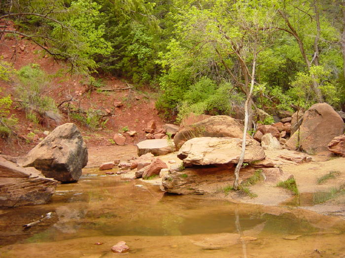 Dsc01140