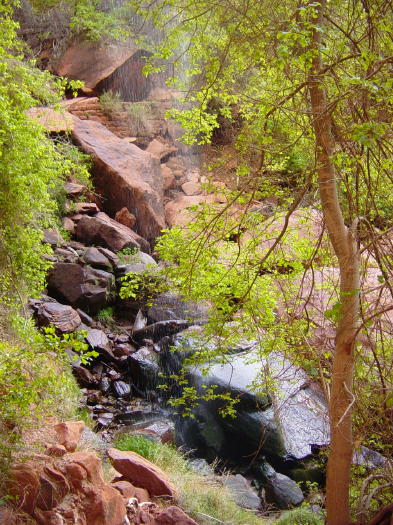 Dsc01158