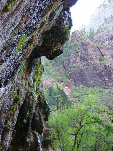 Dsc01171