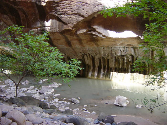 Dsc01919