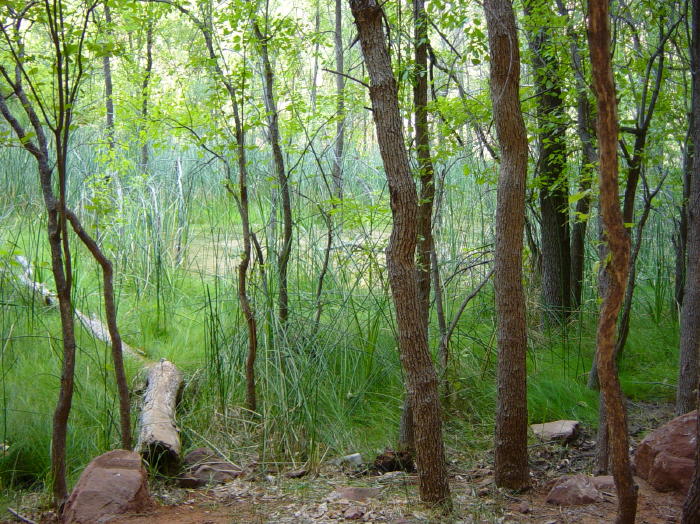 Dsc02212
