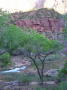 Dsc00975
