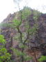 Dsc01084