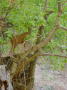 Dsc02203