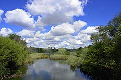 image1.jpg