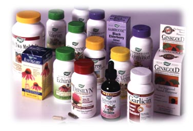 pic of various herbs 