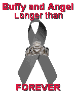 Support the Ribbon - Support B/A! LONGER