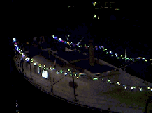 Tortuga at Christmas