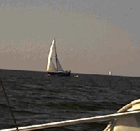Sailing with company