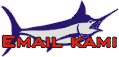Email kami