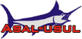 Asal-usul Nautica