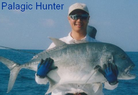 Go to Palagic Hunter Gallery