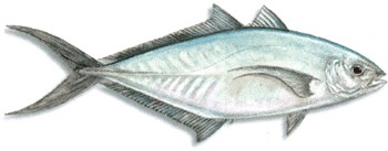 Bar Jack