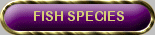 Fish Species