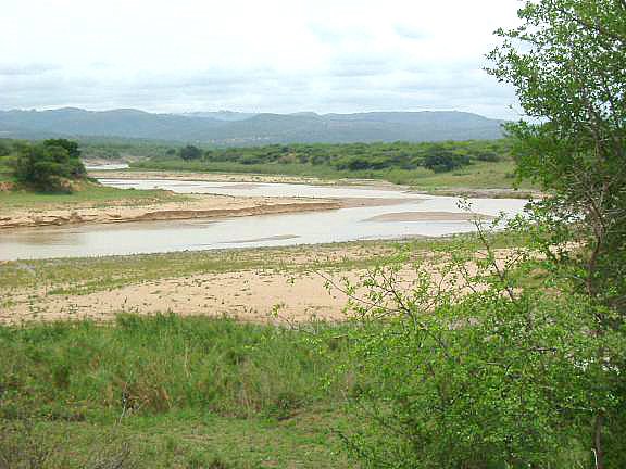 View at the river
