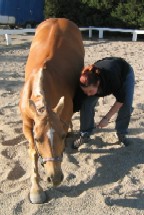 Navada Bowing