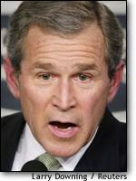 Image: Bush