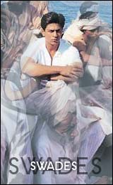 Visit Official webpage of Swades
