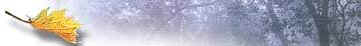 Welcome to Naveen Online