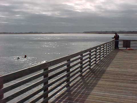 Greg (In water) and Jessie (on dock)