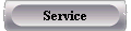  Service 