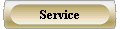  Service 