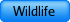 Wildlife Tours