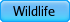 Wildlife Tours