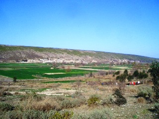 Ahmed Abad
