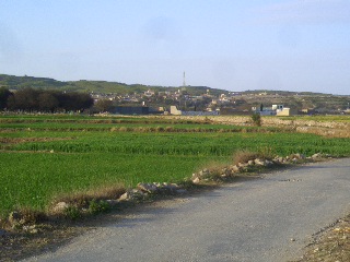 Anga