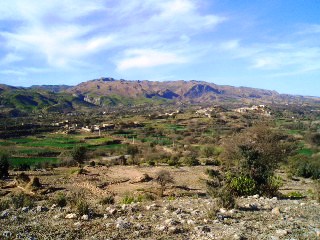 Bhukhi, Mustafa Abad.