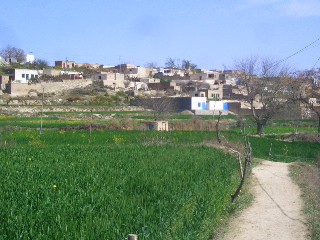 Chitta
