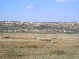 Dhadhar