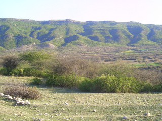 view near Bhukhi 1