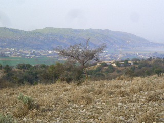 Khabakki