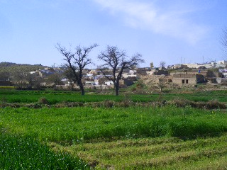 Kotli