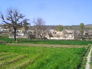 Kotli