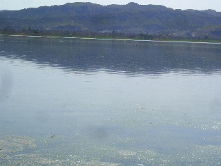 Lake Uchhali