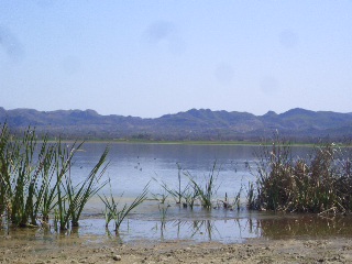 Lake Uchhali