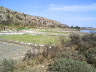 Lake Uchhali