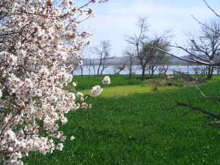 Lake Uchhali