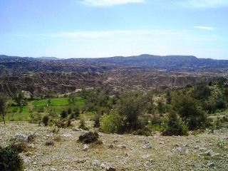 Surraki