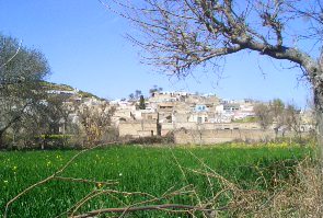 Surraki