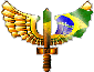 Voe pelo Brasil voc� tamb�m!