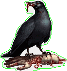 Cuervos infectados